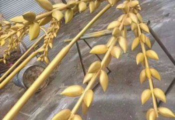 水景水稻雕塑廠家 風(fēng)景區(qū)幾何雕塑廠家 廣場小品