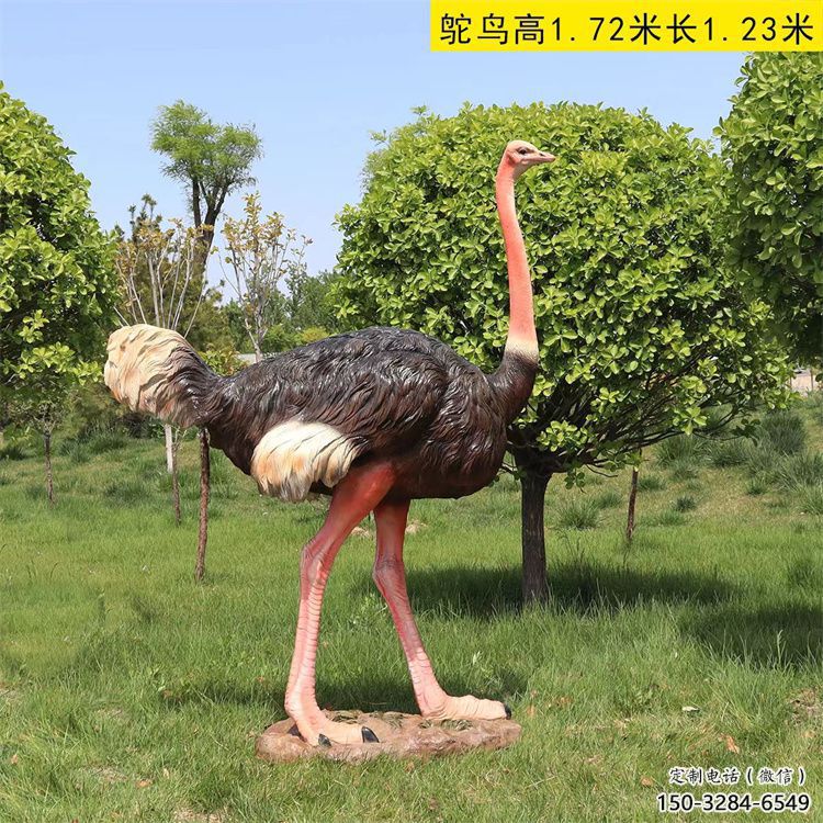 彩繪鴕鳥雕塑廠家，公園廣場動物，大型園林小品