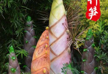 竹筍雕制造商，室外軟裝，不銹鋼竹筍雕塑生產商