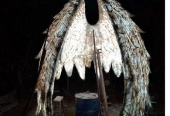 城市翅膀雕塑，網格燈光雕塑，古銅效果