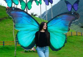 羽翼雕塑精品，白鋼構件，別墅不銹鋼羽翼雕塑供求