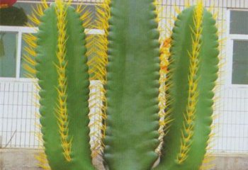 西寧庭院仙人掌雕塑